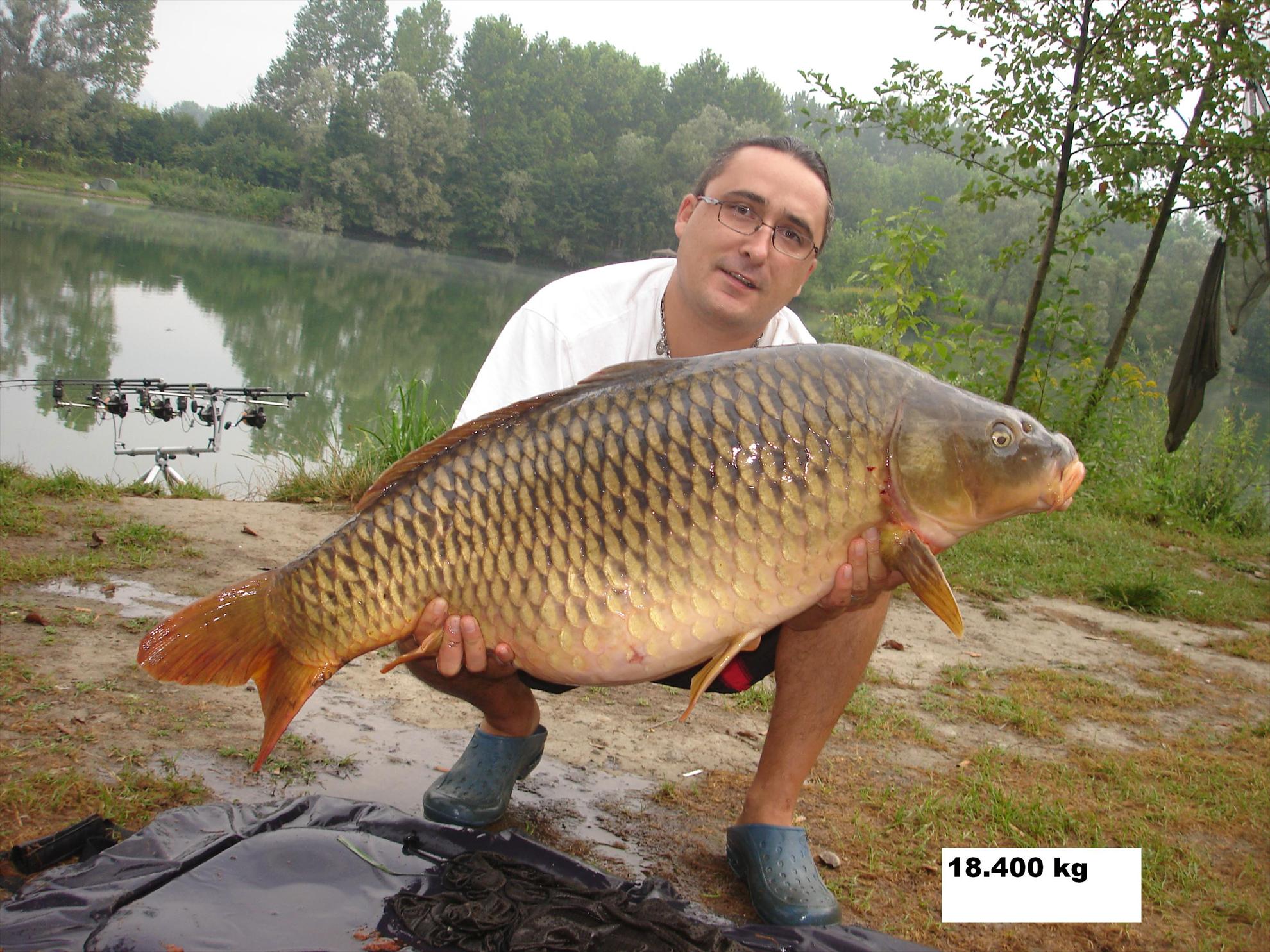 THE BIGS OF 2011 - p1000117.JPG